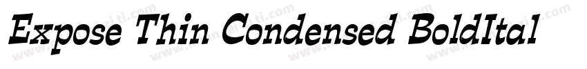 Expose Thin Condensed BoldItalic字体转换